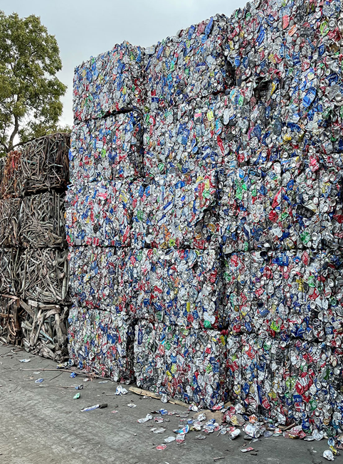 Founded</br> 31-01-2025