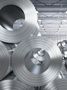 Founded</br> 31-01-2025